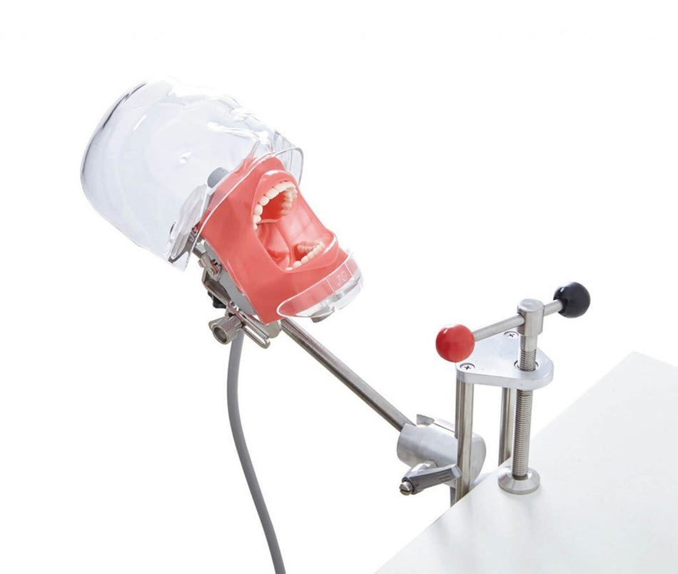 Dental Simulator Phantom Head Model for Education Dentist Training Practice