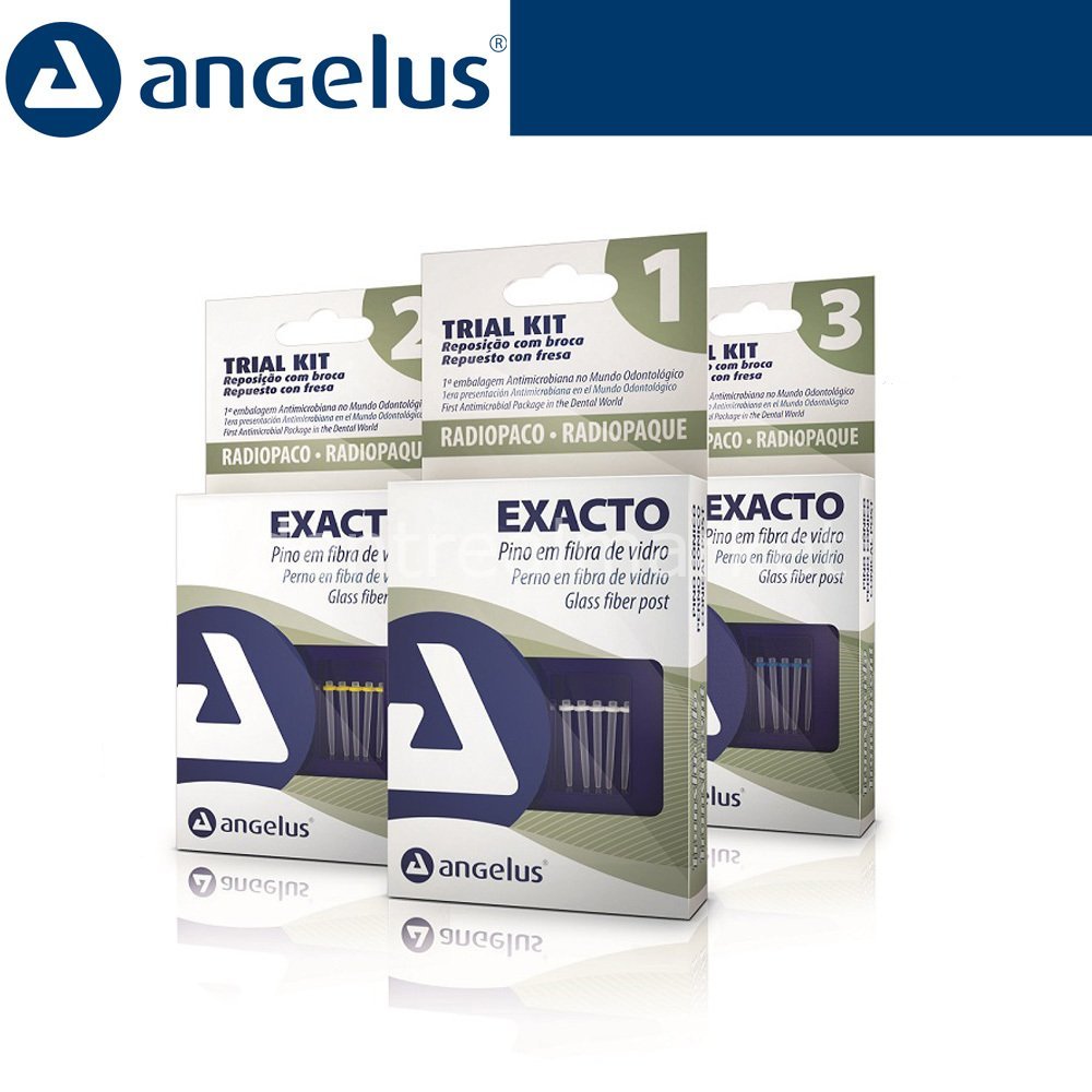 Angelus - Exacto Translucido Fiber Post Trial Kit