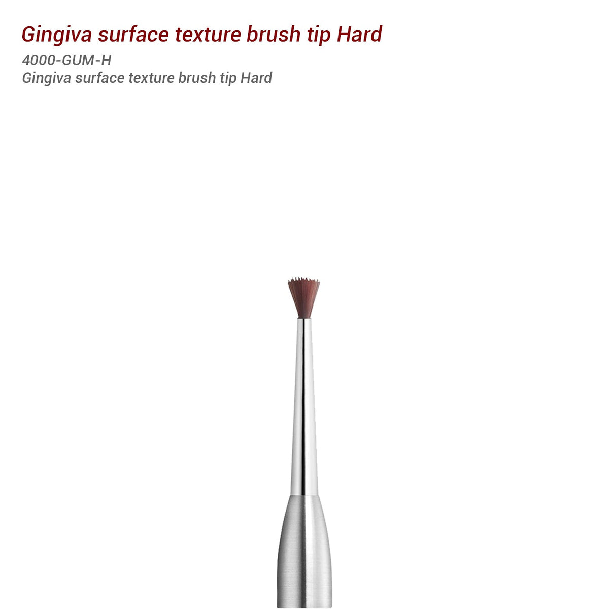 Smile Line - Gum Brush Tip - Gingiva Brush Tip