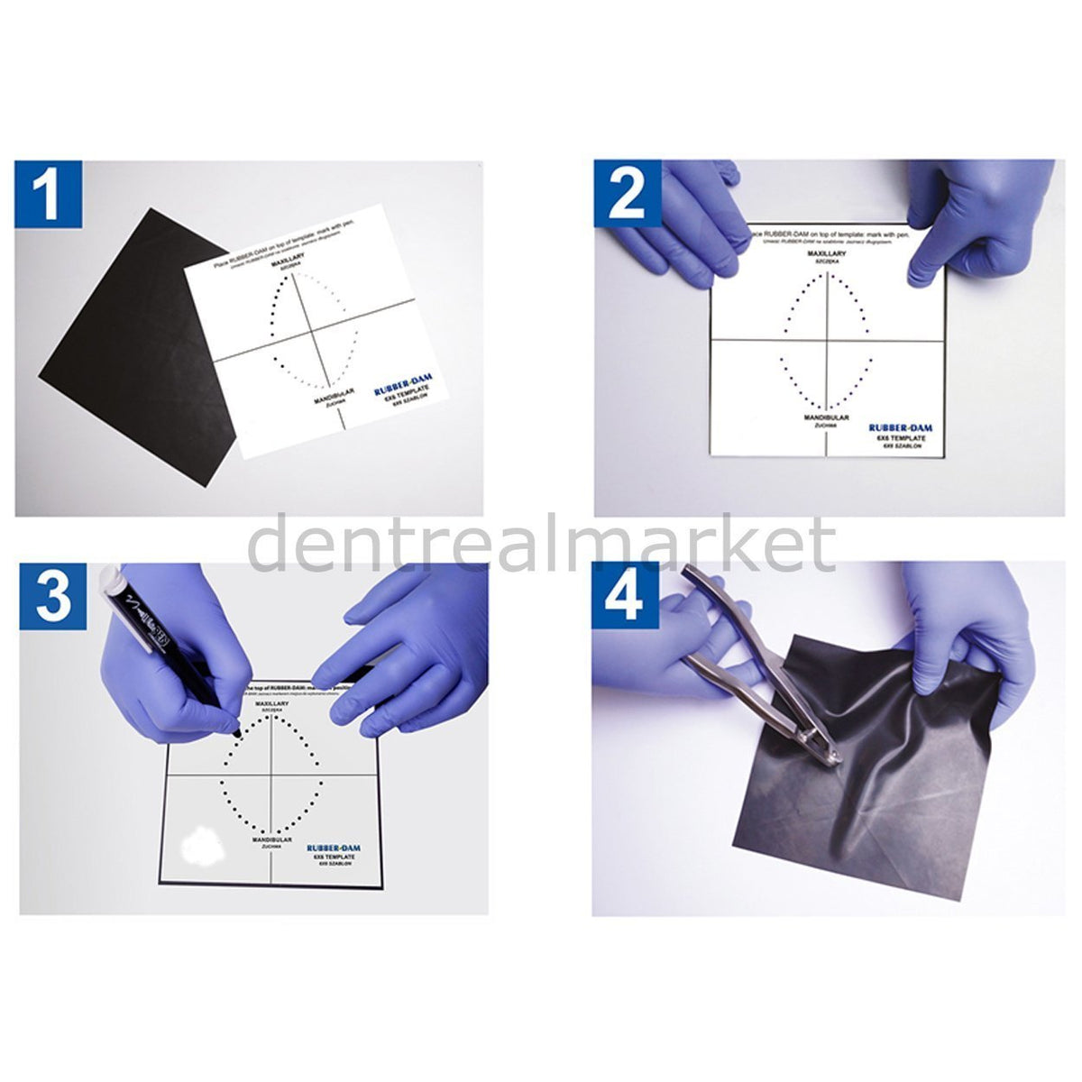 Frank Dental - Stainless Steel Rubberdam Template