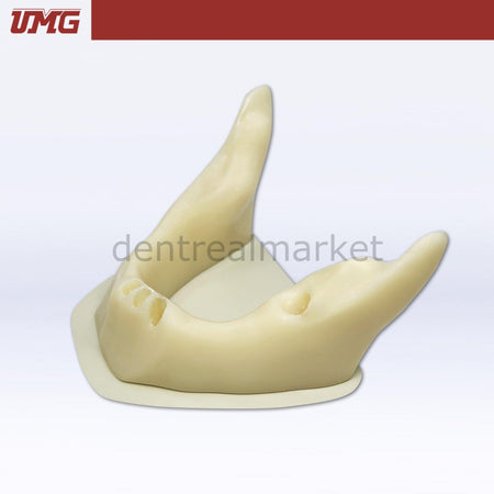 Umg Dental - Umg Model Anatomically Shaped Bone Mandible for Implant Placement Application - UM - Z8