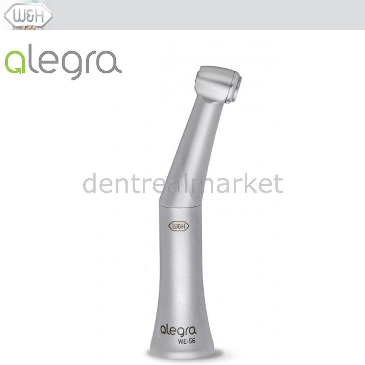 DentrealStore - W&H Dental Alegra Blue Belt Contra-angle - WE-56