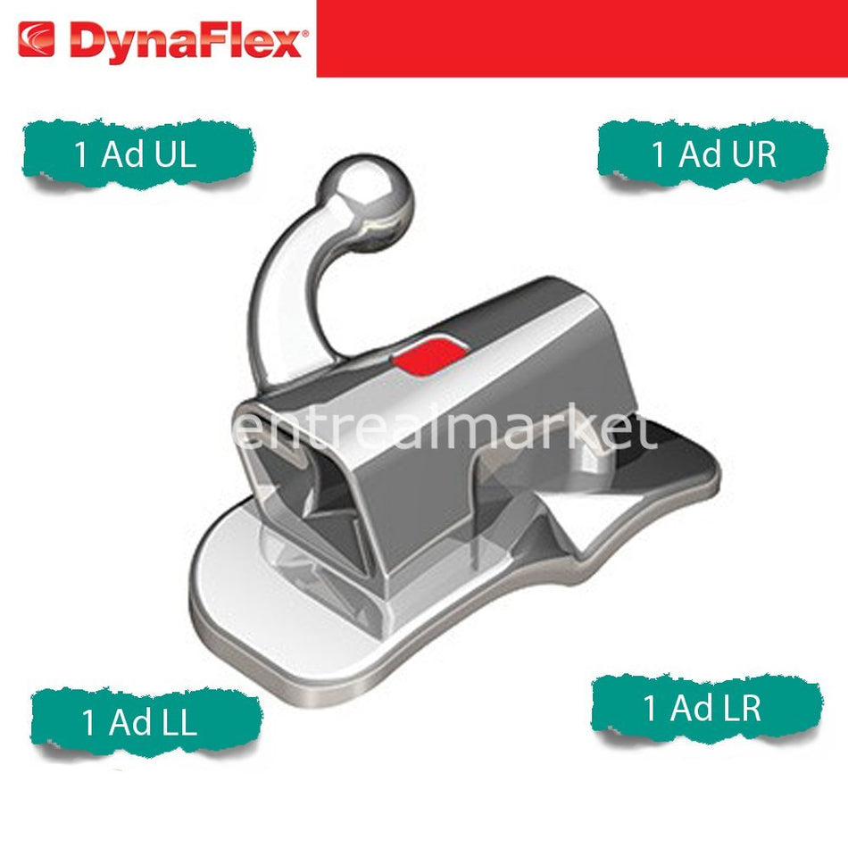 DentrealStore - Dynaflex Stability LP Bondable Tube 1 Set